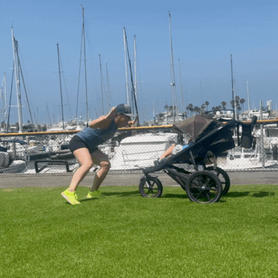 Low Jacks Peek a Boo.gif