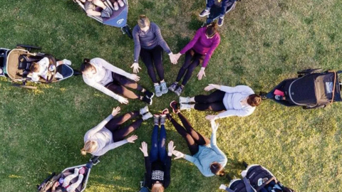 FIT4MOM Lite franchise.png